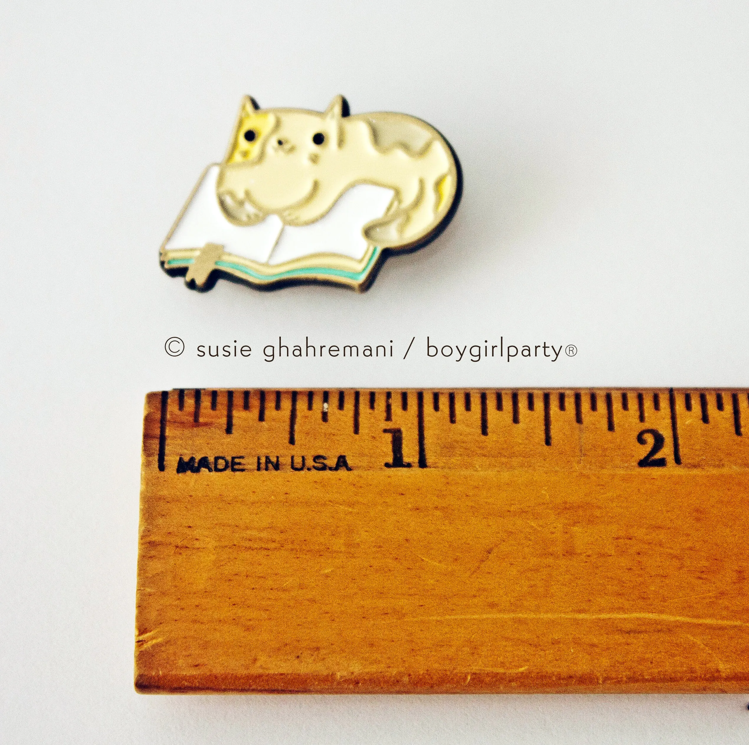 Book Cat Pin — Book Reading Cat Enamel Pin by boygirlparty