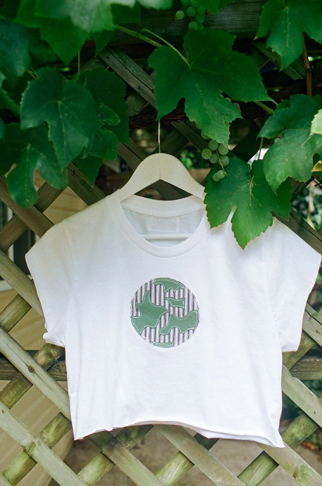 Mushroom T, Organic Cotton