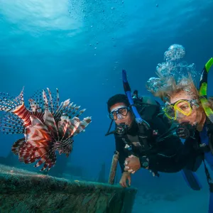 PADI Invasive LionFish Tracker Specialty Course