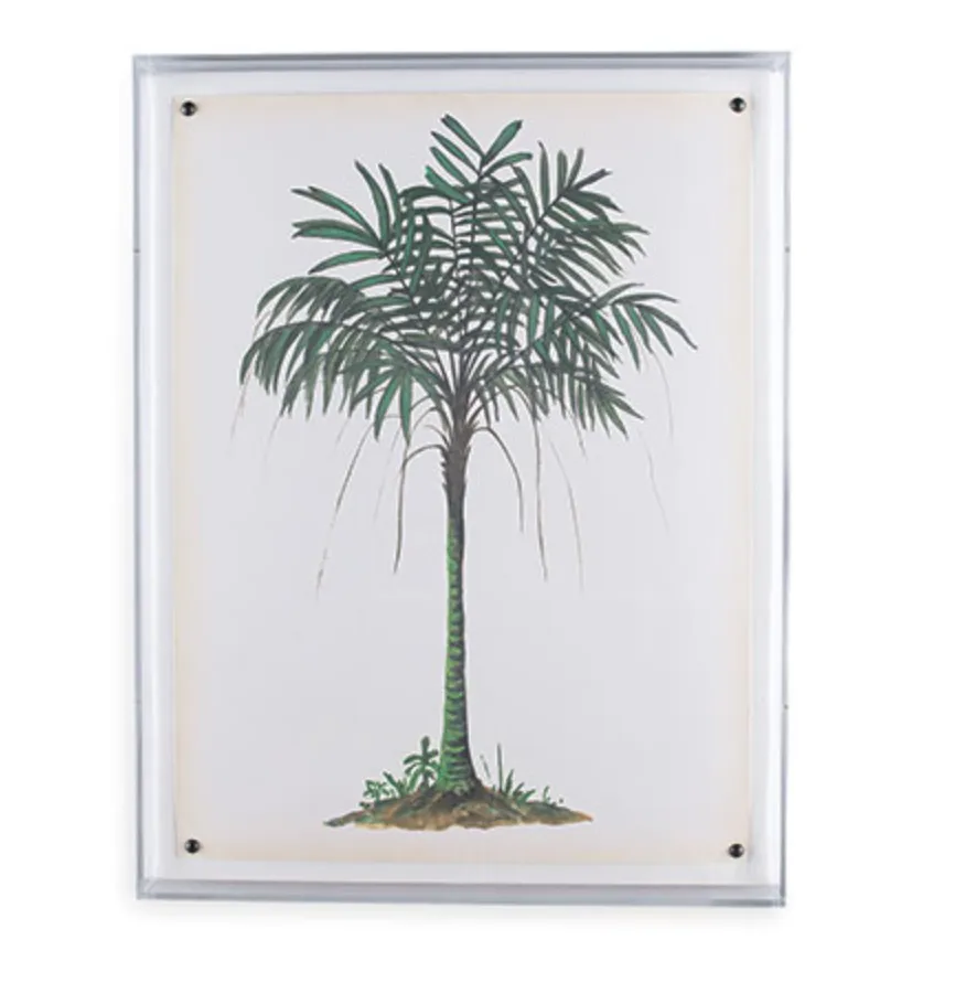 Palm Tree Print I