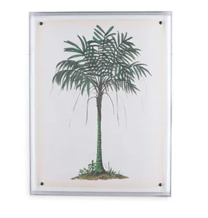 Palm Tree Print I