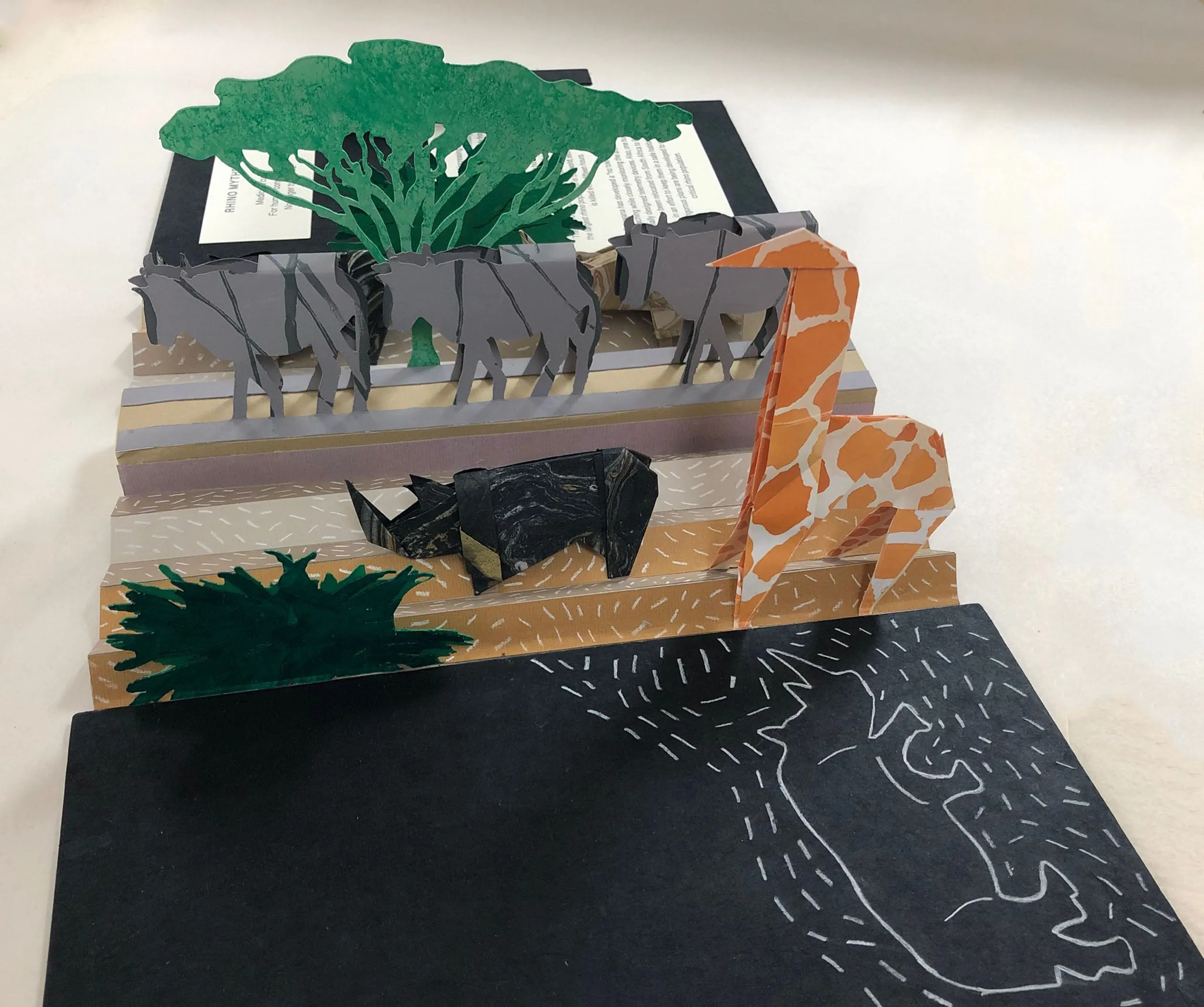 Save the Rhinos by Carolyn Shattuck