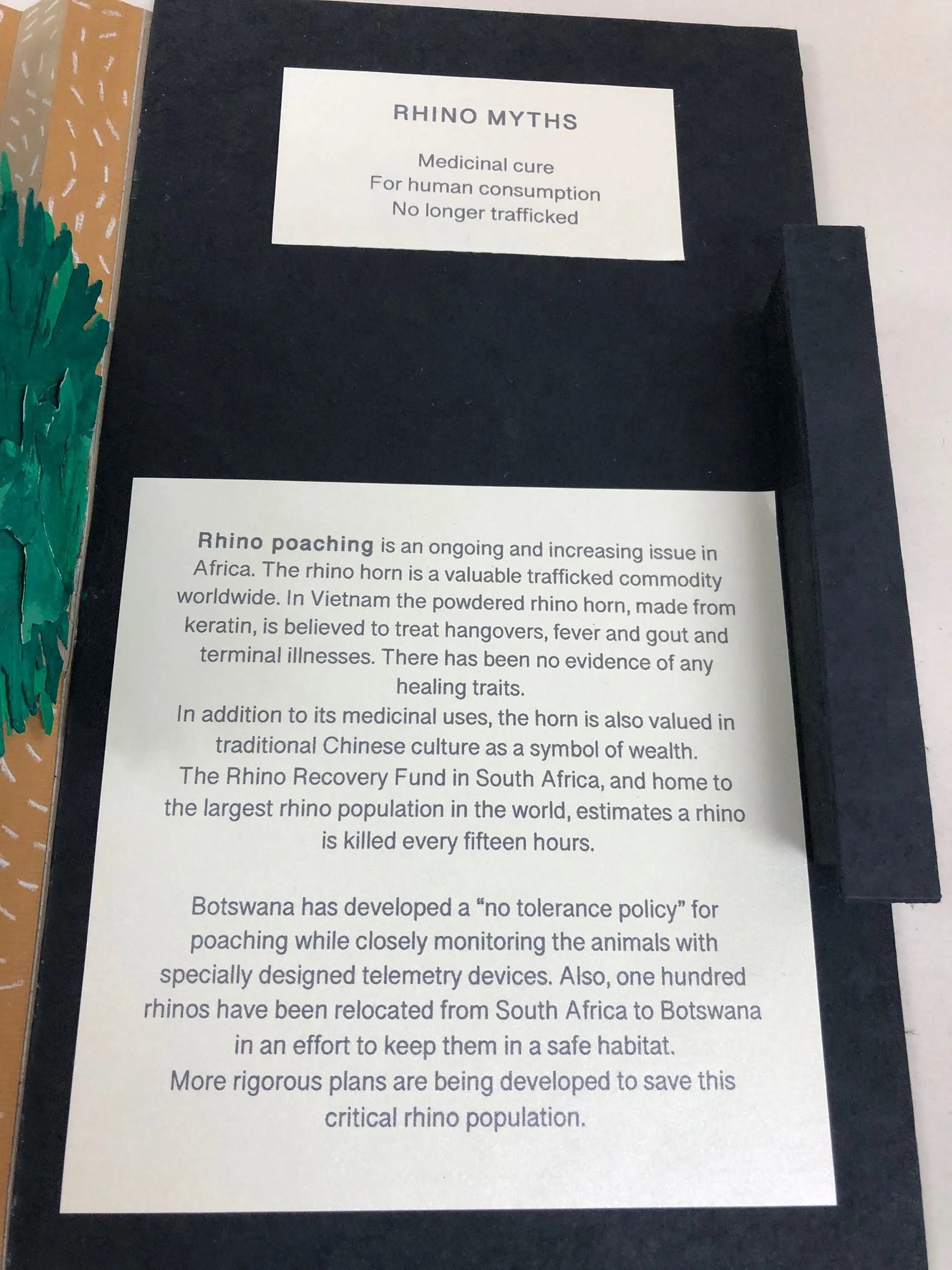 Save the Rhinos by Carolyn Shattuck